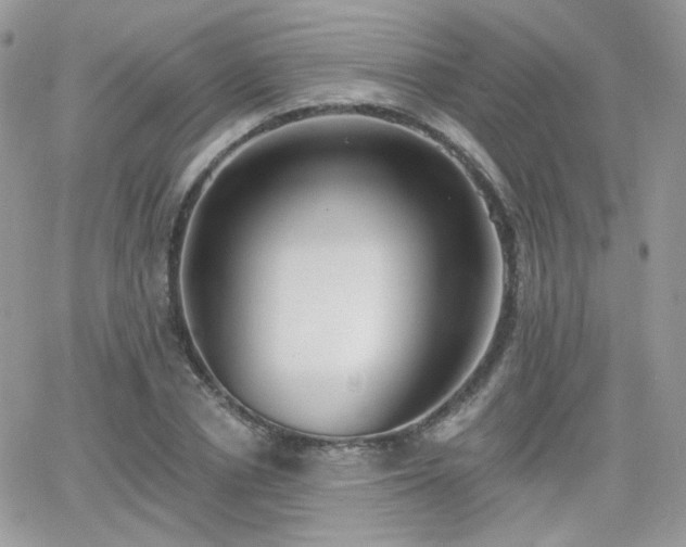 X0000066970834200603271206