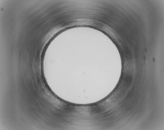 X0000066970836200603271206