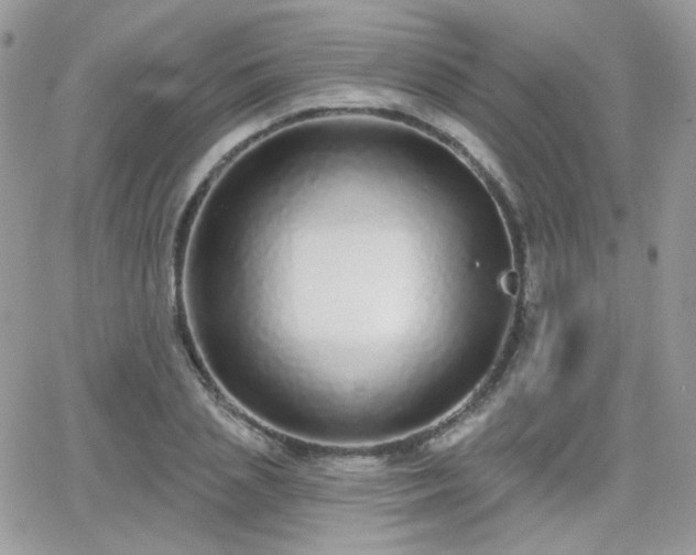 X0000066970837200603271206