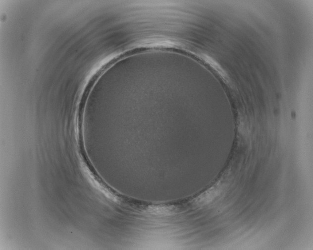 X0000066970840200603271206