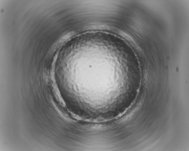 X0000066970841200603271206