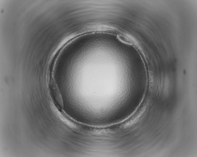 X0000066970843200603271206