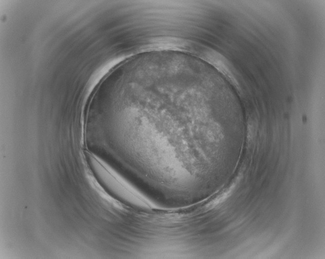 X0000066970844200603271206