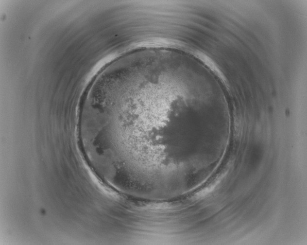 X0000066970845200603271206