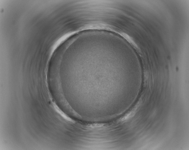 X0000066970846200603271206