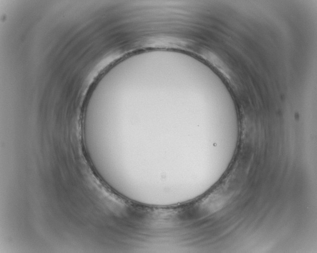 X0000066970848200603271206