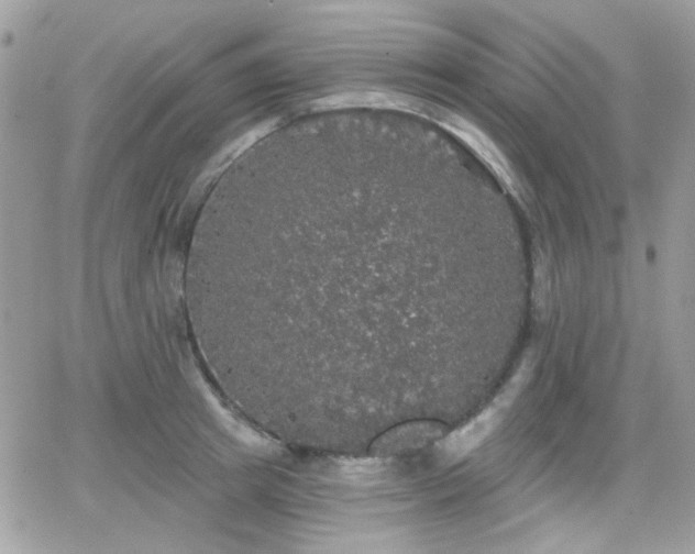 X0000066970849200603271206