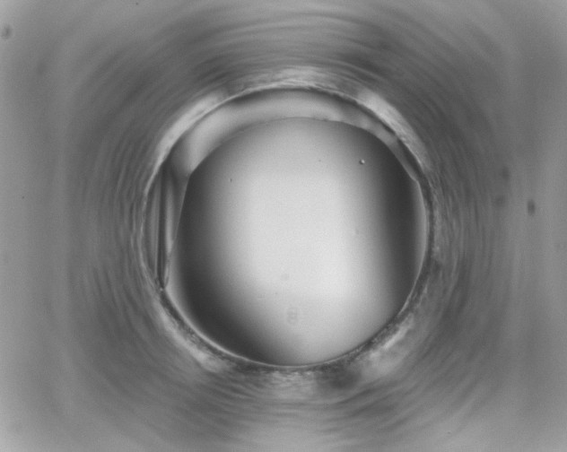 X0000066970850200603271206