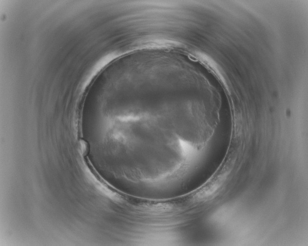 X0000066970851200603271206