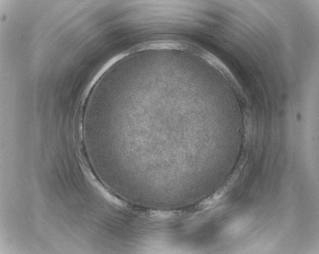 X0000066970852200603271206