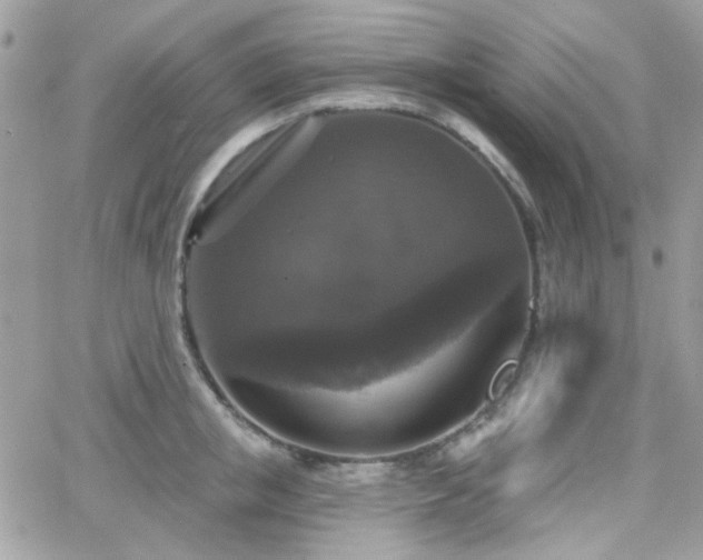 X0000066970853200603271206