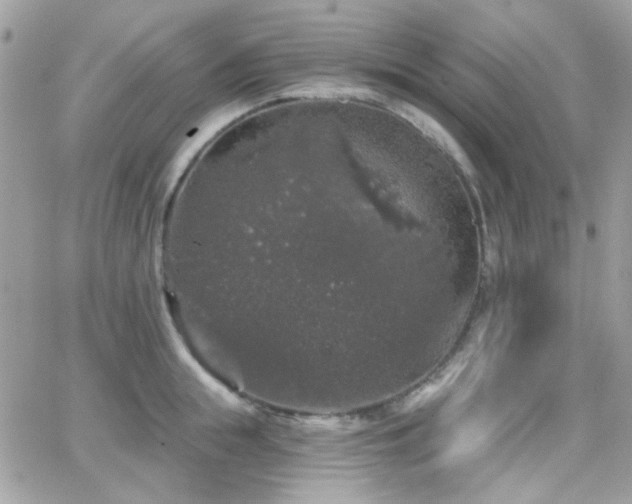 X0000066970855200603271206