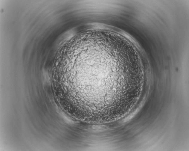 X0000066970857200603271206