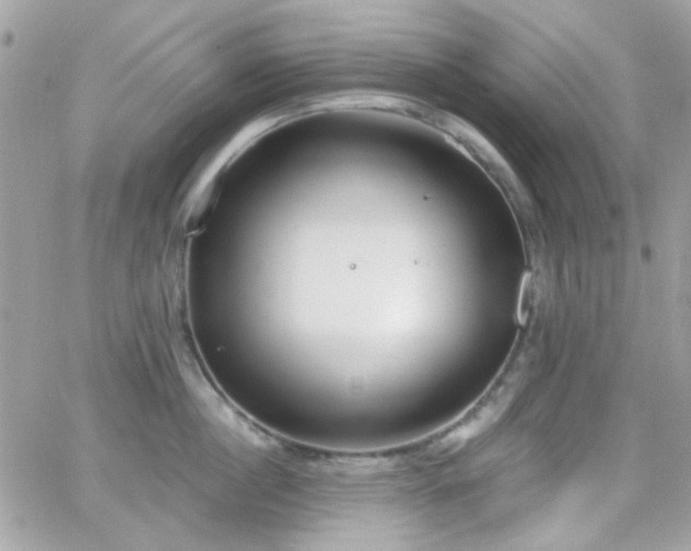 X0000066970860200603271206