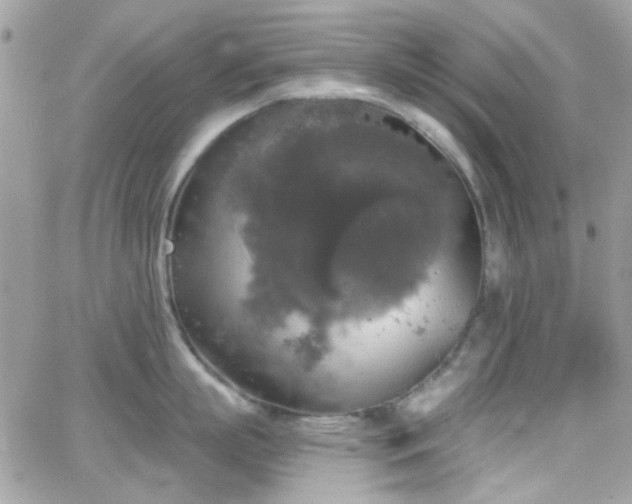 X0000066970863200603271206