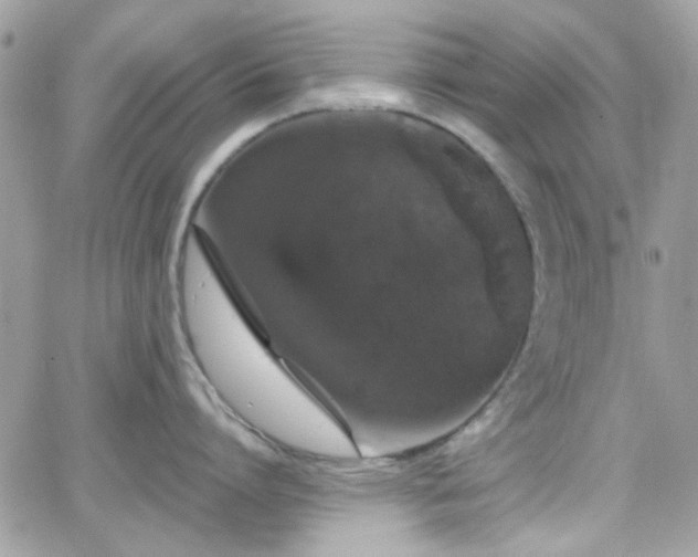 X0000066970864200603271206