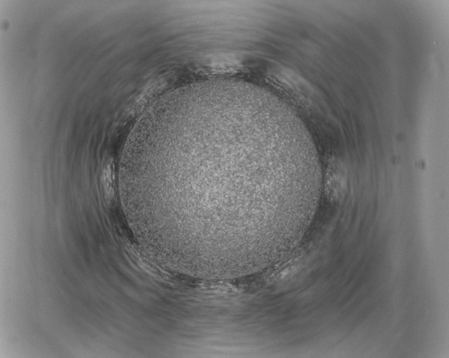 X0000066970866200603271205