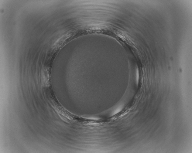 X0000066970868200603271205