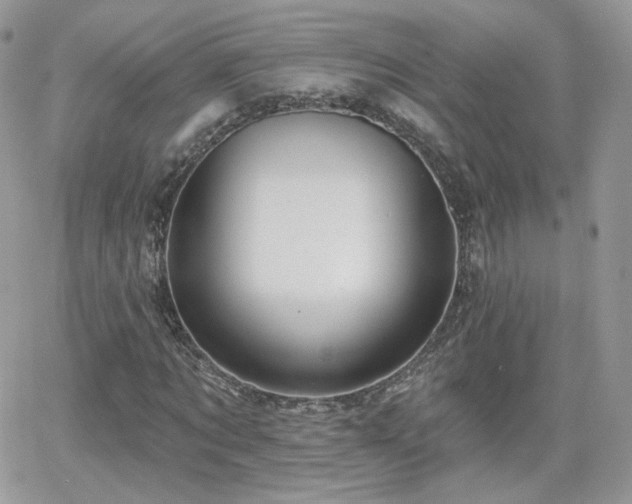 X0000066970869200603271205