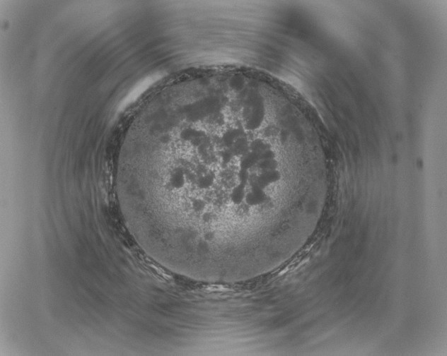 X0000066970871200603271205