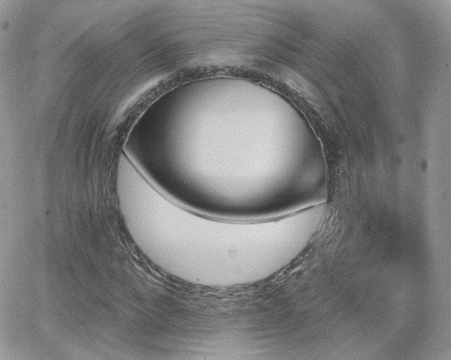 X0000066970872200603271205