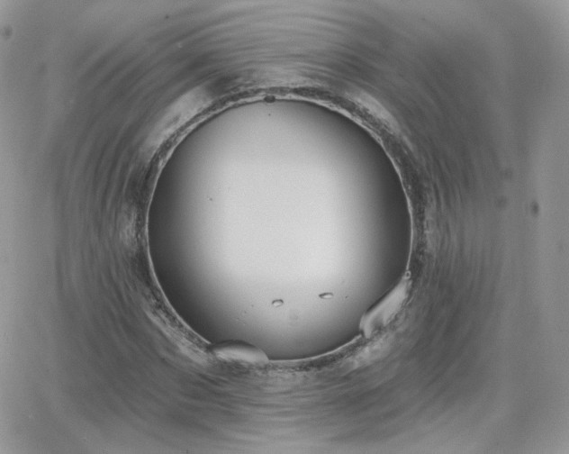 X0000066970873200603271205