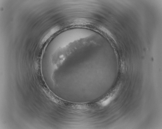 X0000066970874200603271205