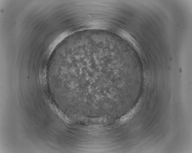 X0000066970875200603271205