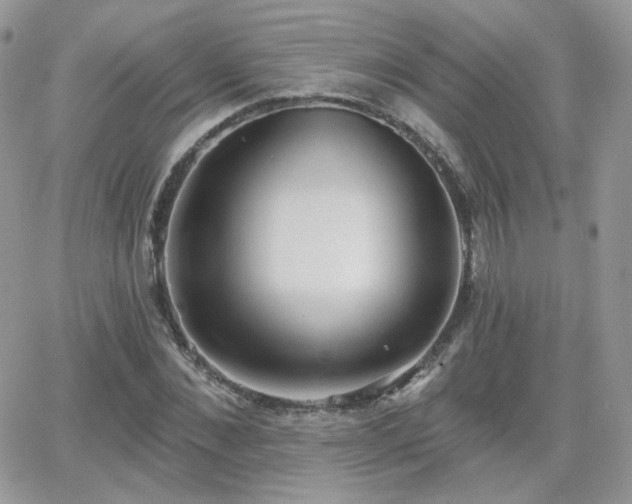 X0000066970876200603271205