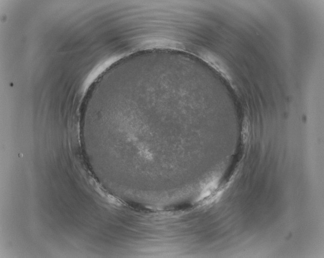 X0000066970877200603271205