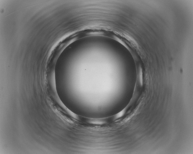 X0000066970880200603271205