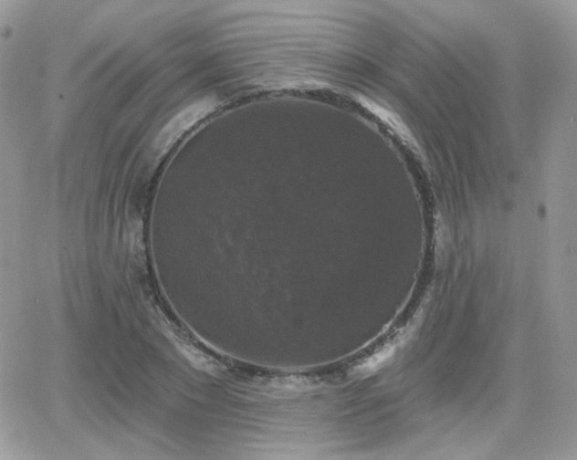 X0000066970881200603271205