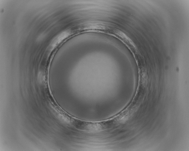 X0000066970882200603271205