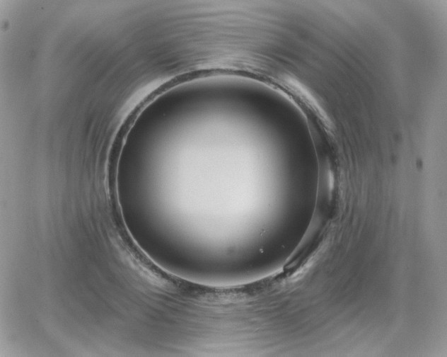 X0000066970884200603271205