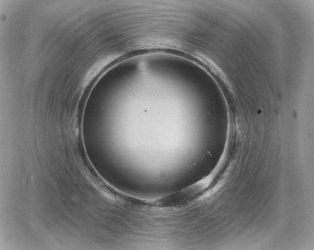 X0000066970885200603271205