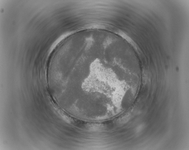 X0000066970886200603271205