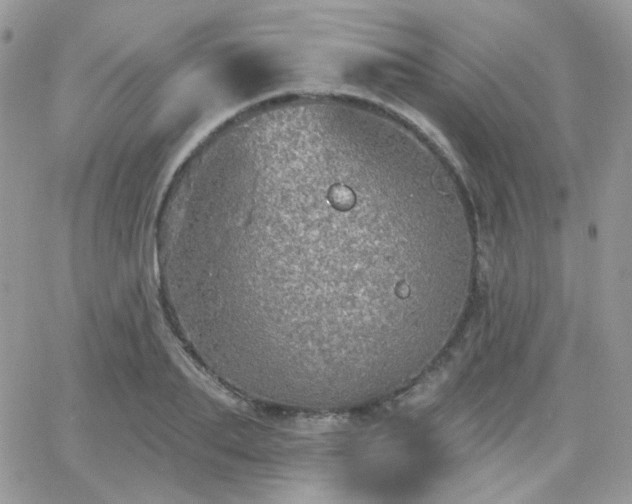 X0000066970887200603271205