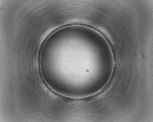 X0000066970888200603271205