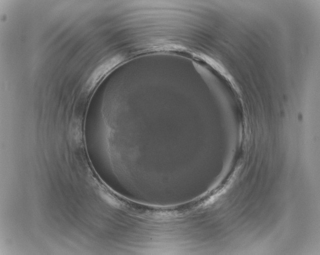 X0000066970889200603271205