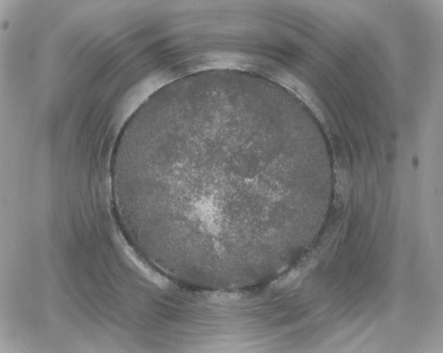 X0000066970890200603271205