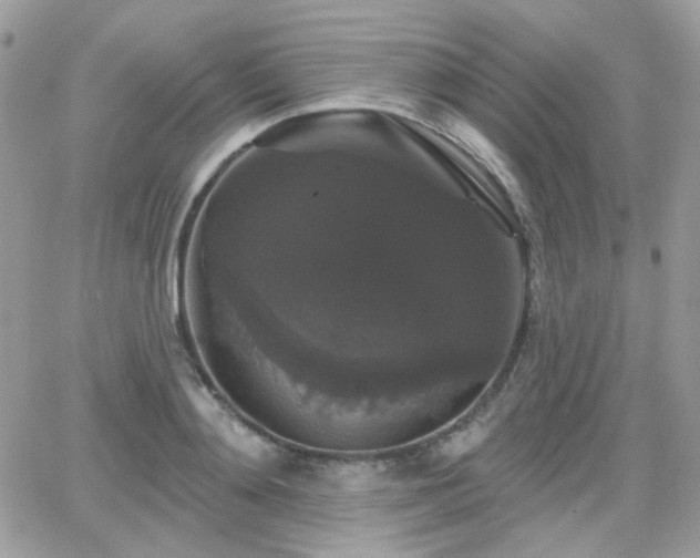 X0000066970892200603271205