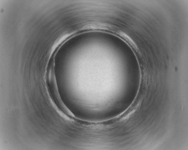 X0000066970893200603271205