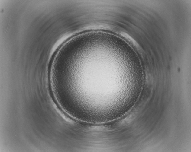 X0000066970894200603271205