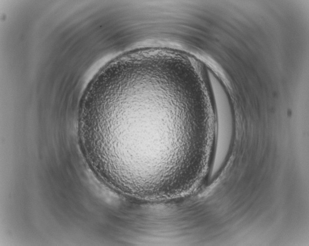 X0000066970896200603271205