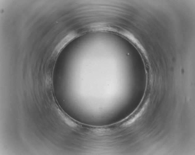 X0000066970897200603271205