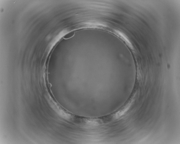 X0000066970899200603271205