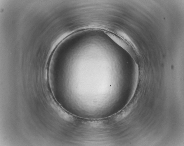 X0000066970900200603271205