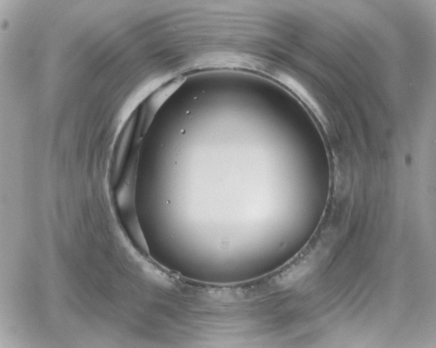 X0000066970901200603271205