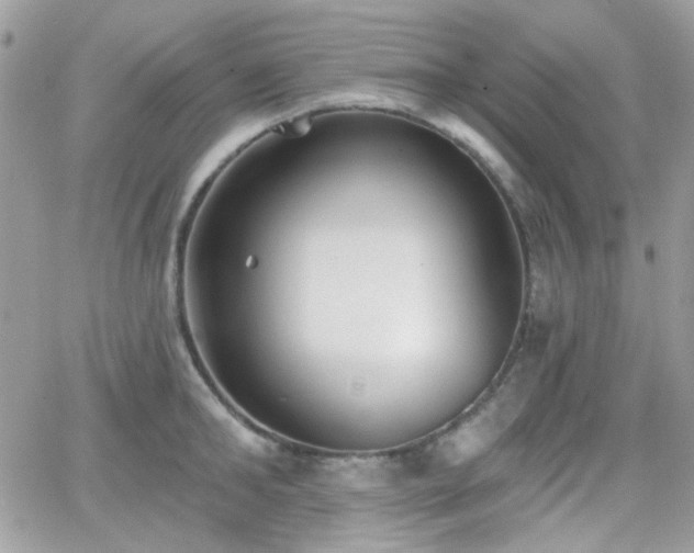 X0000066970902200603271205