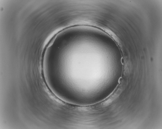 X0000066970904200603271205